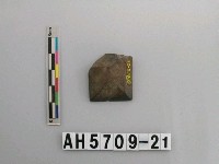 藏品(磨製石錛)的圖片